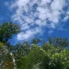 rafaela.bessa67