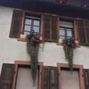 mernubri3