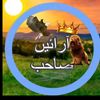 ahmad786919