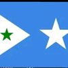 nimcomohamed6690