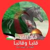 djamelmebarki596