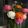 gulya_sea