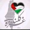 user781614188323