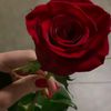 user9720512421771