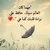 laila8598