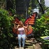tefi.gutierrez1