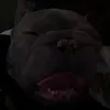 rodneyboy3