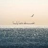 saif20943