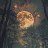 moonligh88888