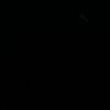privv_jhoss
