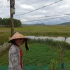 tuytphan082