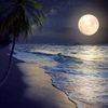 beachdude765