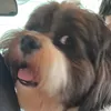 ju_mmt04