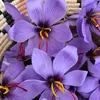 saffron533