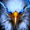 eagle.bhai.official