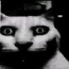 meodarktukgian
