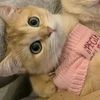 prtty_liann.561