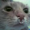 lolnoth3r