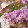 Trồng Một Sân Đầy Hoa Cỏ🥀