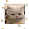 thien_kim8612