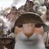 meownosad