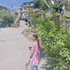 laluthapa20
