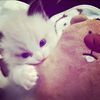 its_syaa73
