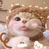 wonnylizz