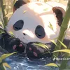 minhpanda50