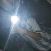 saz_alxza