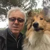 mariolombardi