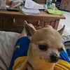 tobysmith00