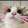 iloveaiah1