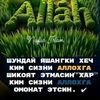 rouz4736108855454