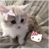yohann0844
