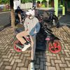 rkwhy27