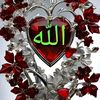 salman.khan5608
