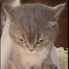 mmaisliferah
