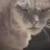 0_onpvto_0