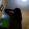 caaa_stecu7