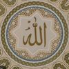 naveed.naveed110