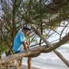 abit_maulana53