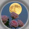 minetou.mohamedou