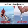 nnn36647
