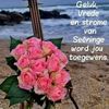 user865340348605