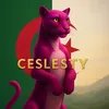ceslesty6