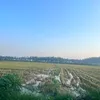 haniiyewelm