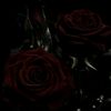 user229282821