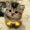 dkhoi_kwai28