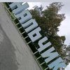 user8031426814151